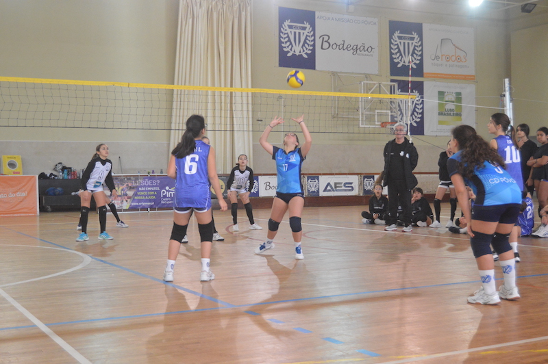 Voleibol CD Póvoa