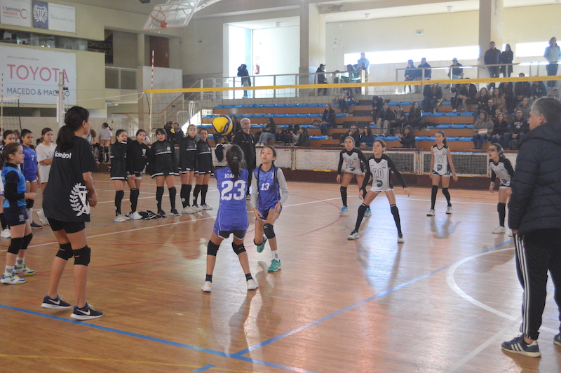 Voleibol CD Póvoa